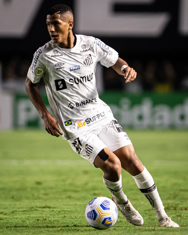 进行示范和 进行示范和